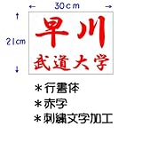 ��N�i�N�T�N���j���������p�_���[�b�P���i�h�J�������H�j30�~21cm �s���� �Ԏ� JT53021GYR