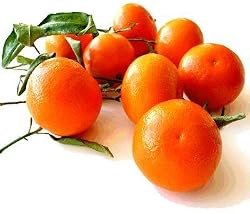 tangerine essential oil