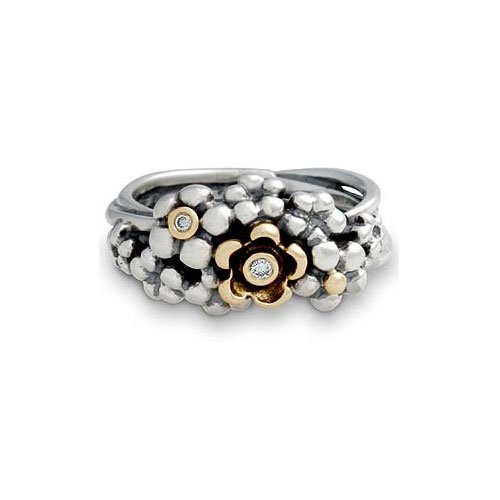 Pandora Damen-Ring 52 (16.6) 14 Karat (585) Gelbgold  KASI 19245D-52 Preisvergleich