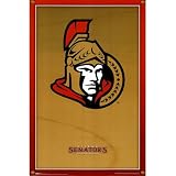 (24x36) Ottawa Senators (New Logo) Sports Poster Print