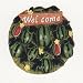 WATERMELON 3-D Welcome Wall Plaque Sign *NEW*!