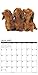 2016 Just Dachshunds Wall Calendar