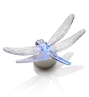 LED Light Collection Dragonfly