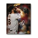 Autographed Brian Wilson 16-by-20 inch unframed 2010 World Series arms crossed photo (MLB Authenticated)