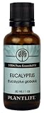 Eucalyptus 100% Pure essential Oil -30ml