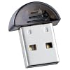 Wentronic USB Bluetooth Dongle-class 2 (20m) mini