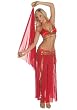 4Pc Turkish Delight - Belly Dancer Sexy Holiday Party Costume