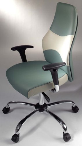 FLEXION Heavy Duty Executive Leather Office Chair 