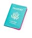 Turquoise Azalea Baekgaard Leather Pink Blue USA Passport
