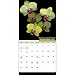2015 Intimate Blooms Wall Calendar Trends International