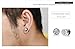 Unisex Men Women Plugs Piercings Stainless Steel Round Arrow Cubic Zirconia Illusion Tunnel Earrings Screw Back Punk Rock Style (2 pair of silver & black)