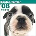 boston terrier - Boston Terrier 2008 Calendar