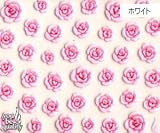 �l�C���V�[�� �f�R�l�C�� N-110 �A�}�����[�Y(W)