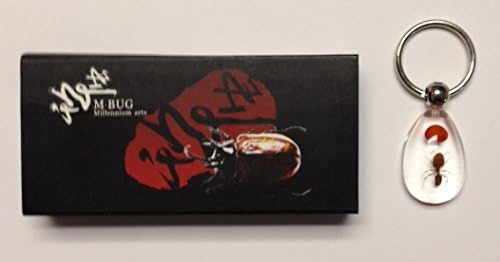 M-Bug Ant Acrylic Teardrop Key Chain