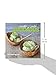 Cooking with Avocados: Delicious Gluten-Free Recipes for Every Meal