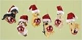 Club Pack Of 12 Dog's In Santa Hat Happy Holidays Christmas Ornaments #48871