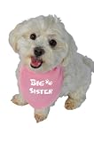 Ruff Ruff and Meow Doggie Bandana, Big Sister, Pink, Large