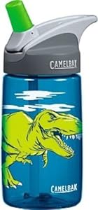Camelbak Products Kid's Eddy Water Bottle, T-Rex, 0.4-Litre