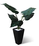 Colocasia/サトイモ葉◎観葉植物（人工葉）☆インテリアリーフアート通販☆