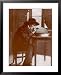 Jean Henri Fabre, French Entomologist Framed Art Poster Print, 25x31