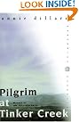 Pilgrim at Tinker...