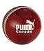 Puma Leather Cricket Ball