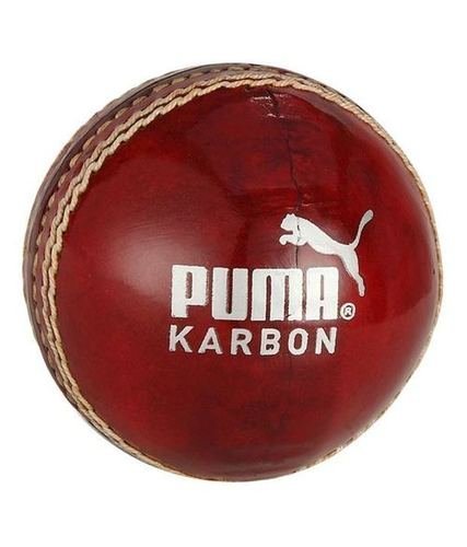 Puma Leather Cricket Ball