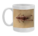 Photo Mug of LRDS-55 Cat Flea from Ardea