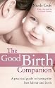 The Good Birth Companion: A Practical Guide to Having the Best Labour and Birth