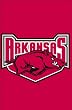 University of Arkansas Razorbacks Flag - Garden Size
