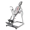 Weider Club Inversion System