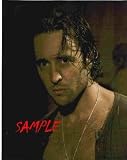 Moonlight Alex O'Loughlin Bare Chest Wet Hair Vampires 8x10 Photo MOO1002