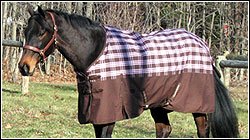 TuffRider 600 D Plaid Pony Turnout Sheet