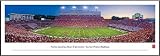 North Carolina State Wolfpack - Carter-Finley Stadium - Framed
Poster Print