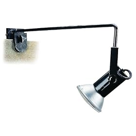 Black Finish 23" High Plug-In Picture Light