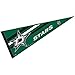 WinCraft Dallas Stars Pennant