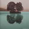 Image of album by Nyles Lannon