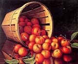 12X16 inch Prentice Levi Apples Tumbling From A Basket Canvas Art