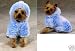 Zack & Zoey Ski Bunny Jacket Sm Blue