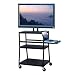 VTI Wide Body Cart for up to 42