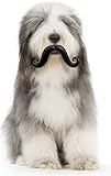 Image Humunga Stache Rubber Dog comedy toy