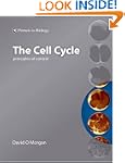 The Cell Cycle