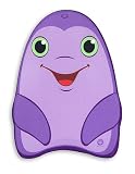 Dart Dolphin Kickboard
