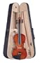 Palatino Campus Violin Outfit 4/4 Size (Featherweight Case, Bow)