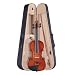 Palatino Campus Violin Outfit 4/4 Size (Featherweight Case, Bow)