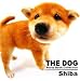 artlist INTERNATIONA: THE DOG Photo Book Collection Shiba