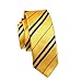 Dress Shirt Tie Hary Potter Style Adult & Kids Halloween Costume Accessory USA