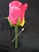 Silk Red Rose Bud Boutonniere Wedding Flower Pearl Pin