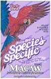 Macaw (Formerly Called Hi-Energy Special)