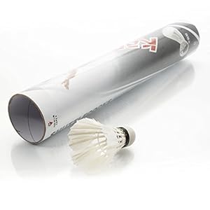 12Pcs Compact Natural Feather White Feather Shuttlecocks Badminton For Sport Training